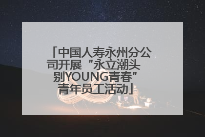 中国人寿永州分公司开展“永立潮头 别YOUNG青春”青年员工活动